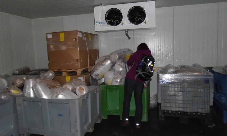 2016-10-24-1415kebab 5.JPG